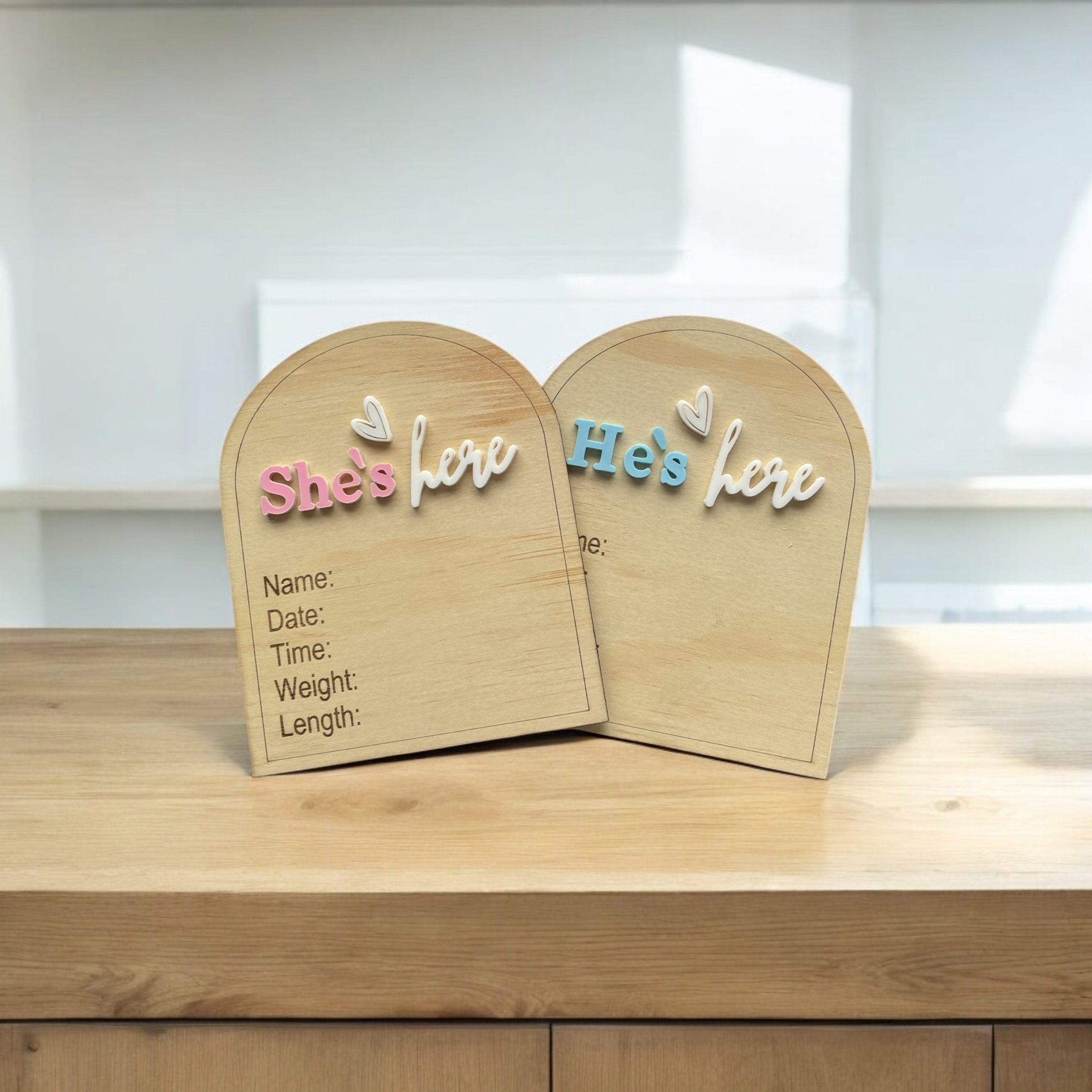Gender Surprise Birth Announcement Plaque