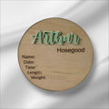 2 Pack Birth Announcement Plaques